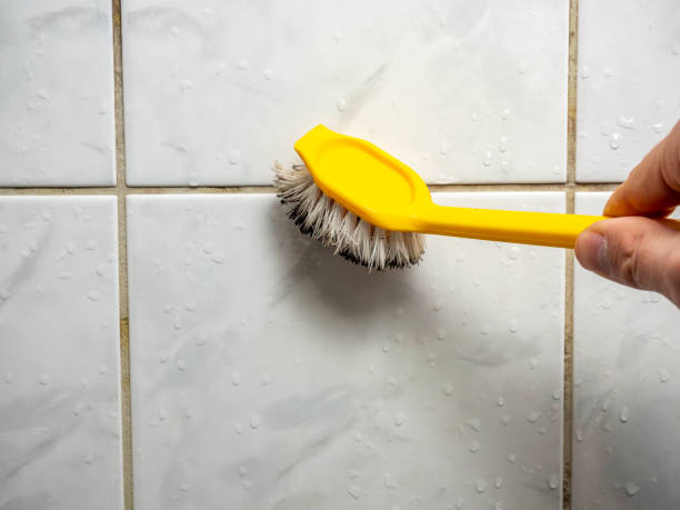 Best Same-Day Mold Removal  in New Kensington, PA