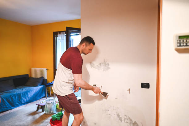 Best Residential Mold Removal  in New Kensington, PA